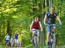 Вілла De Bosbeekpoort Opglabbeek Номер фото